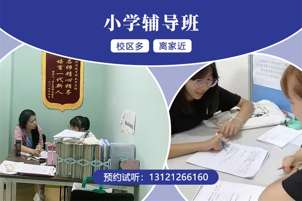 广州海珠区的小学补习班哪家好,锐思教育一对一怎么样